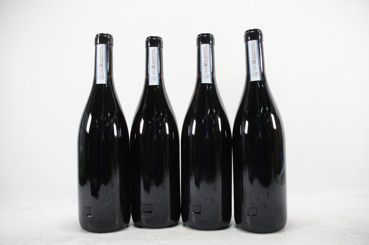 Gaja Sori Tildin 2011