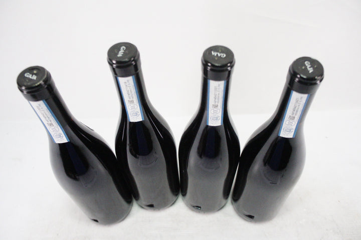 Gaja Sori Tildin 2011