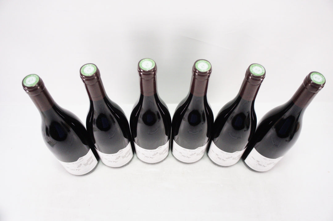 Meo Camuzet Nuits Saint Georges Aux Boudots 1er Cru 2017