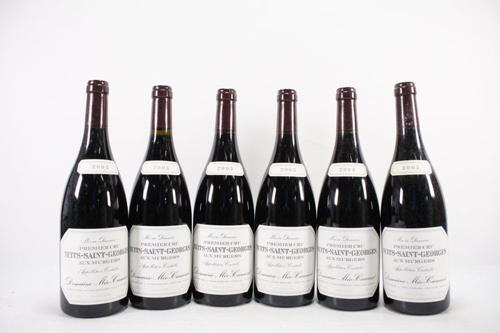 Meo Camuzet Nuits Saint Georges Aux Murgers 1er Cru 2005