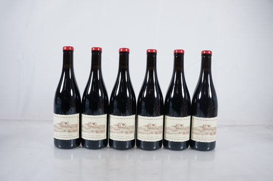 Anne et Jean Francois Ganevat Arbois 'Sur La Cote' Pinot Noir 2020