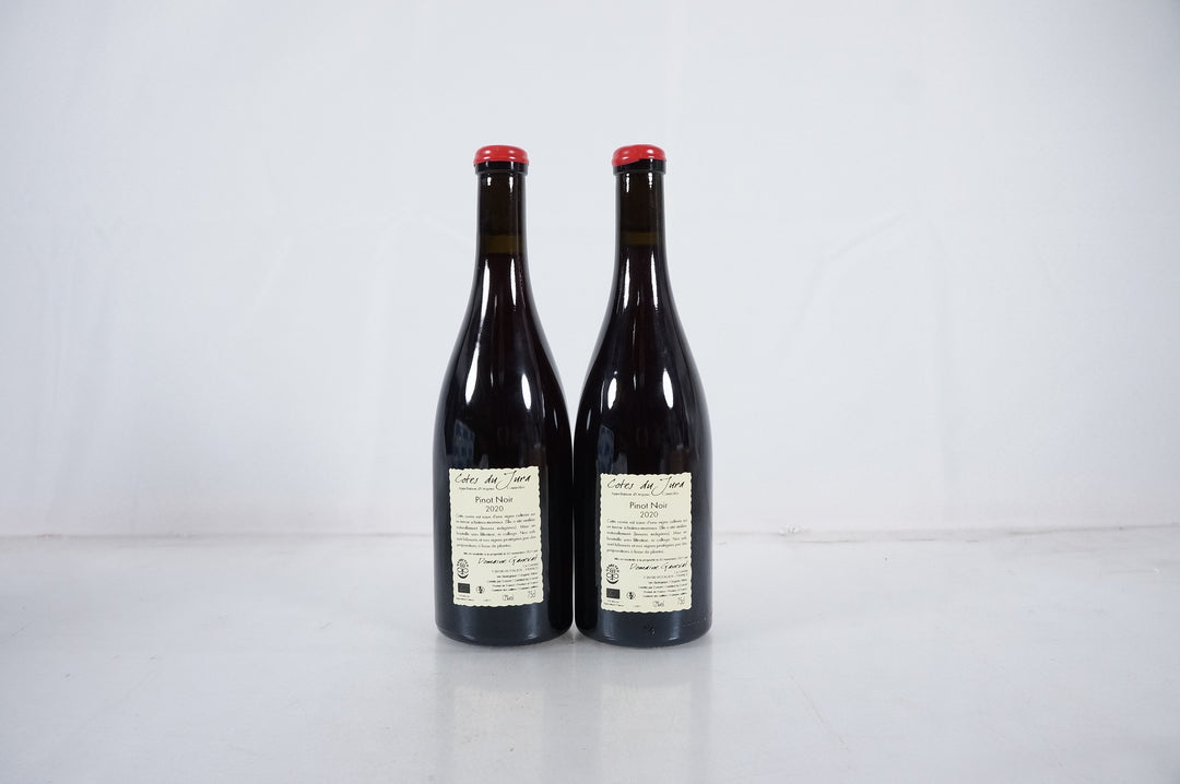 Anne et Jean Francois Ganevat En Billat Pinot Noir 2020