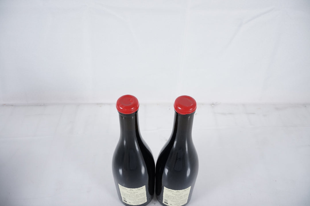 Anne et Jean Francois Ganevat En Billat Pinot Noir 2020