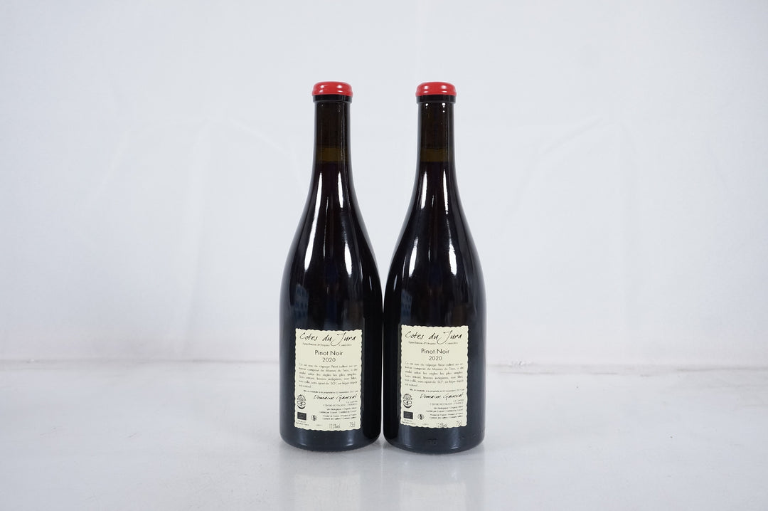 Anne et Jean Francois Ganevat Les Grands Teppes Pinot Noir 2020