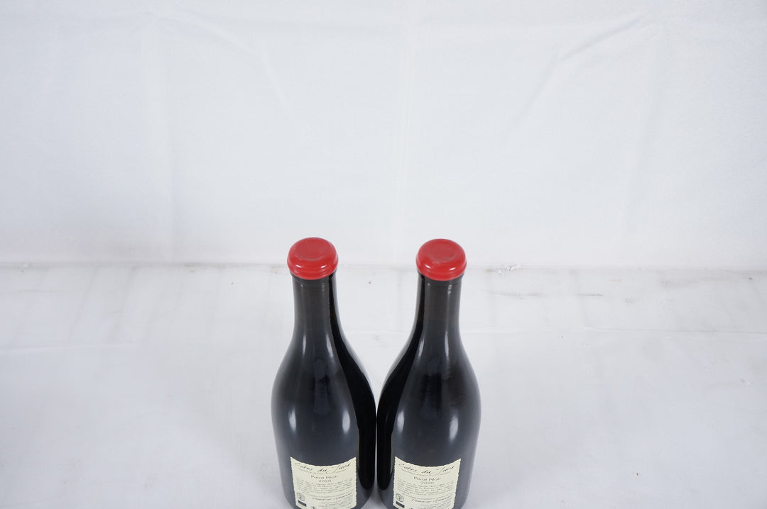Anne et Jean Francois Ganevat Les Grands Teppes Pinot Noir 2020