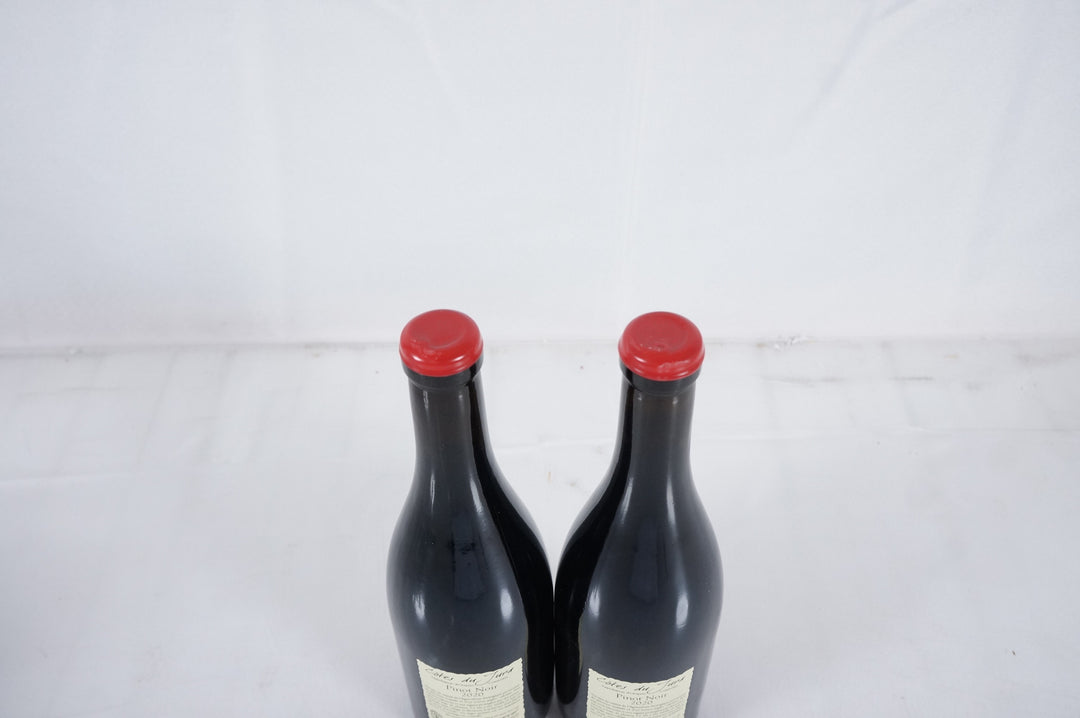 Anne et Jean Francois Ganevat Cuvee Julien Pinot Noir 2020