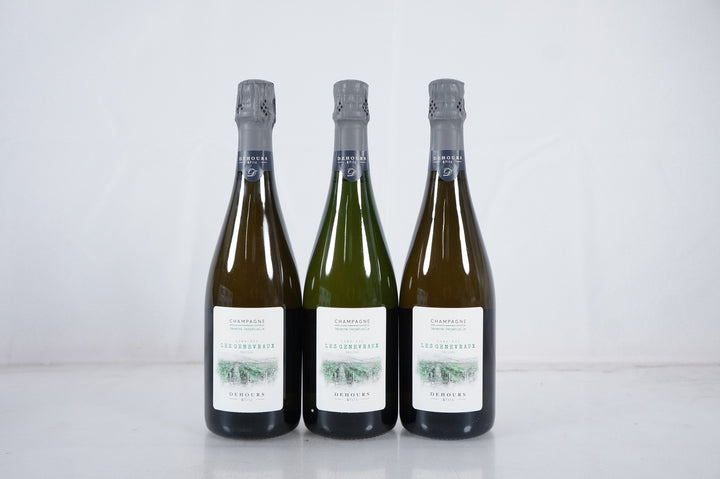 Dehours Les Genevraux Millesime Blanc de Noirs Extra Brut 2013