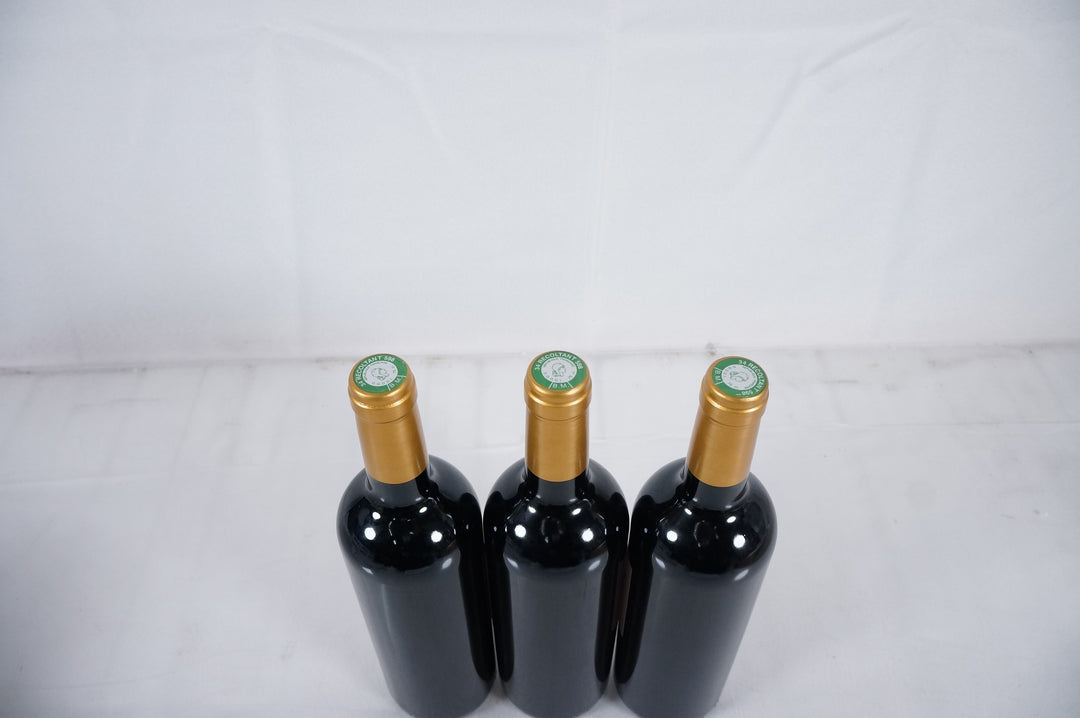 Peyre Rose Coteaux du Languedoc Syrah Leone 2006