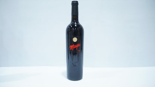 Dalla Valle Maya 1995