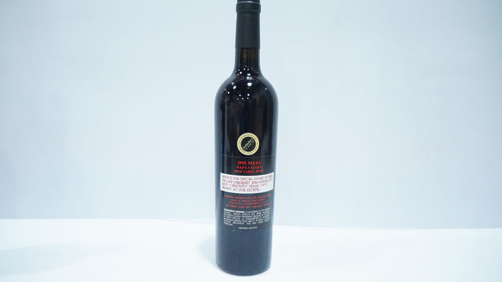 Dalla Valle Maya 1995