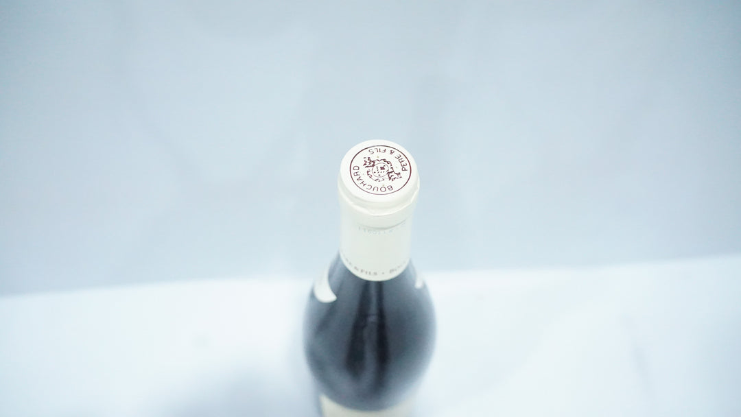 Bouchard Beaune Greves Vigne de l'Enfant Jesus 1er Cru 2005