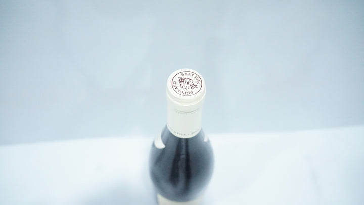 Bouchard Beaune Greves Vigne de l'Enfant Jesus 1er Cru 2005