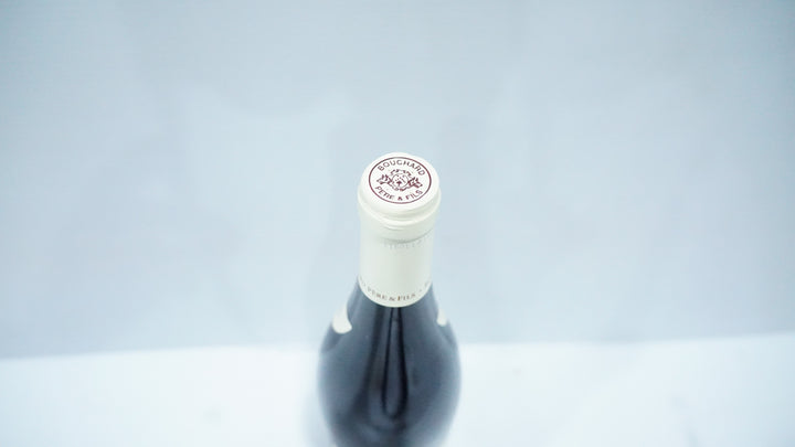 Bouchard Beaune Greves Vigne de l'Enfant Jesus 1er Cru 2009