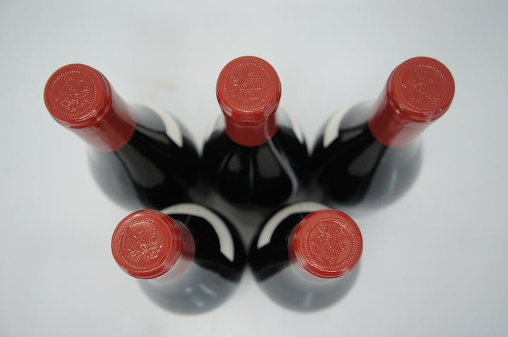 Domaine Machard de Gramont Vosne Romanee Les Gaudichots 1er Cru 2014