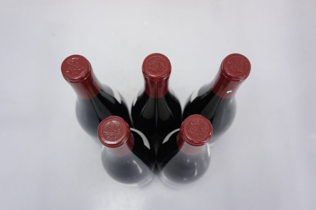 Domaine Machard de Gramont Vosne Romanee Les Gaudichots 1er Cru 2014
