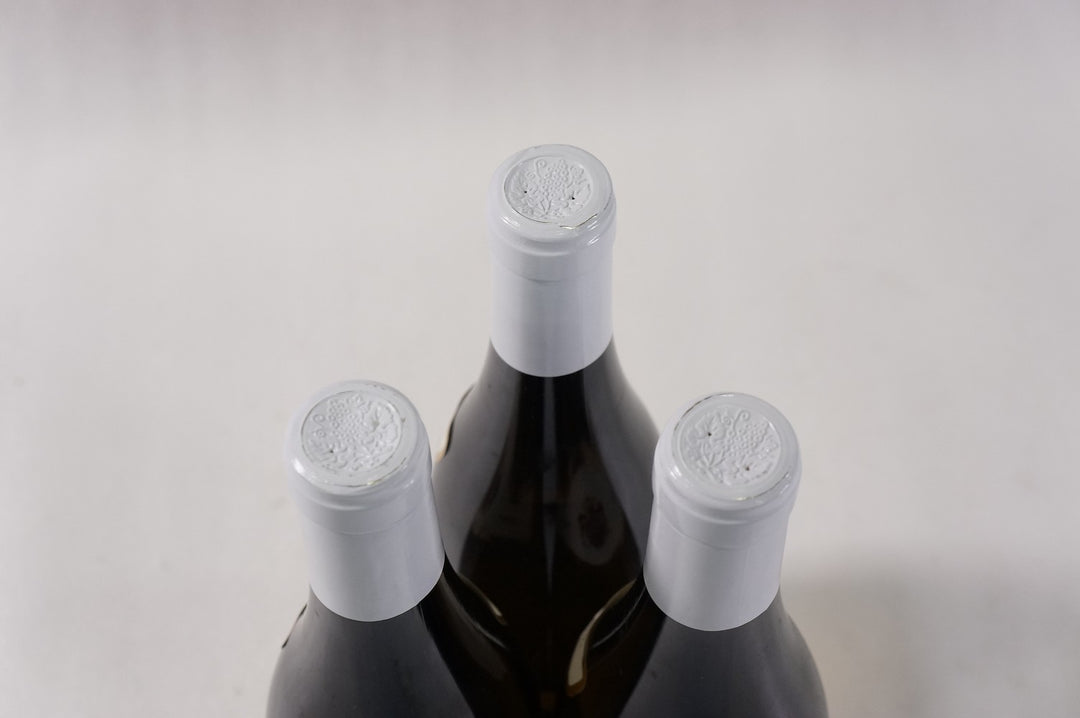 Coche Dury Meursault Genevrieres 1er Cru 2004