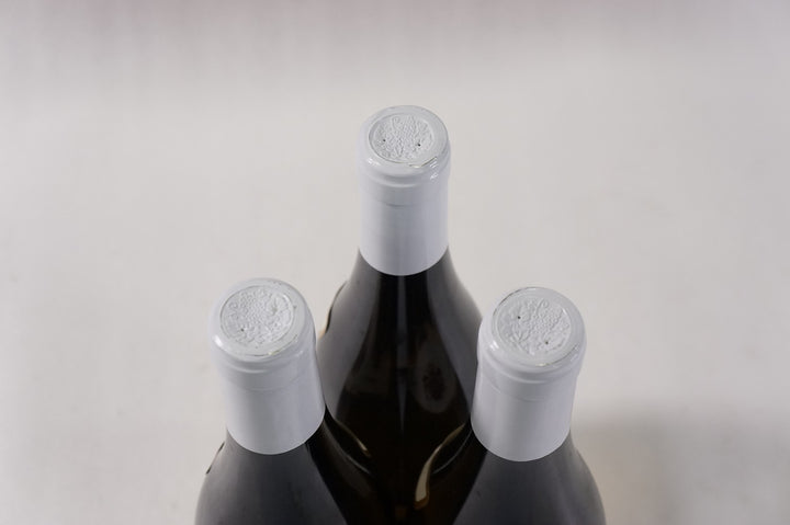 Coche Dury Meursault Genevrieres 1er Cru 2004