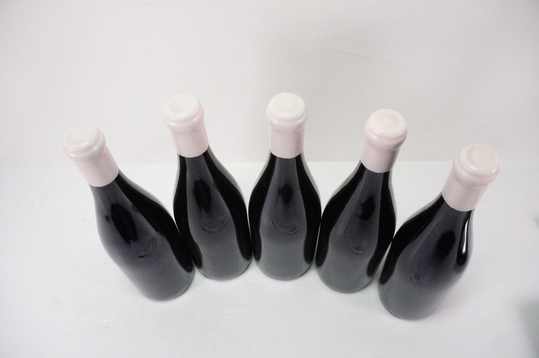 Charles Lachaux Nuits Saint Georges Aux Argillas 1er Cru 2021