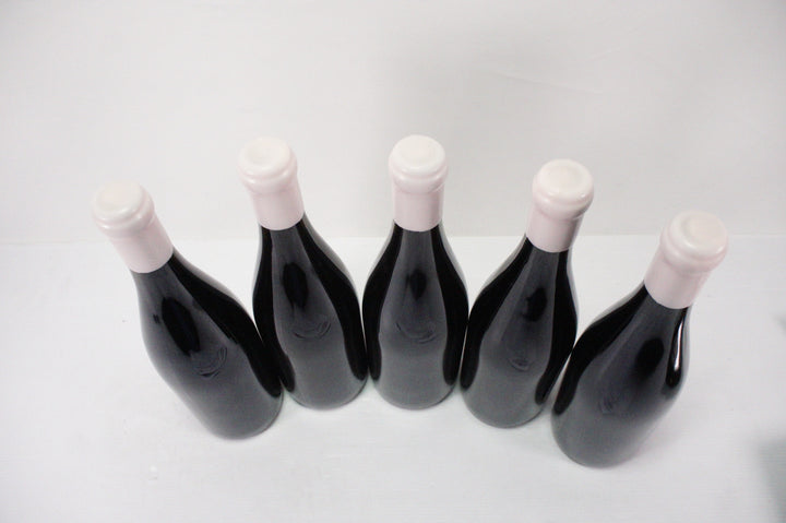 Charles Lachaux Nuits Saint Georges Aux Argillas 1er Cru 2021