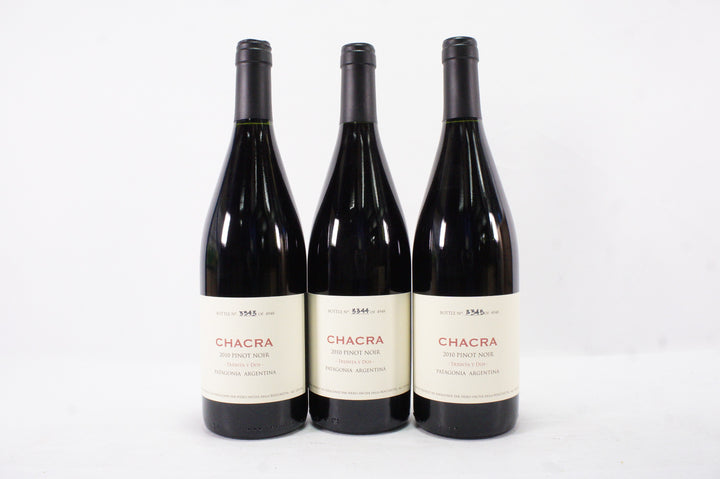 Bodega Chacra 'Treinta y Dos 32' Pinot Noir 2010