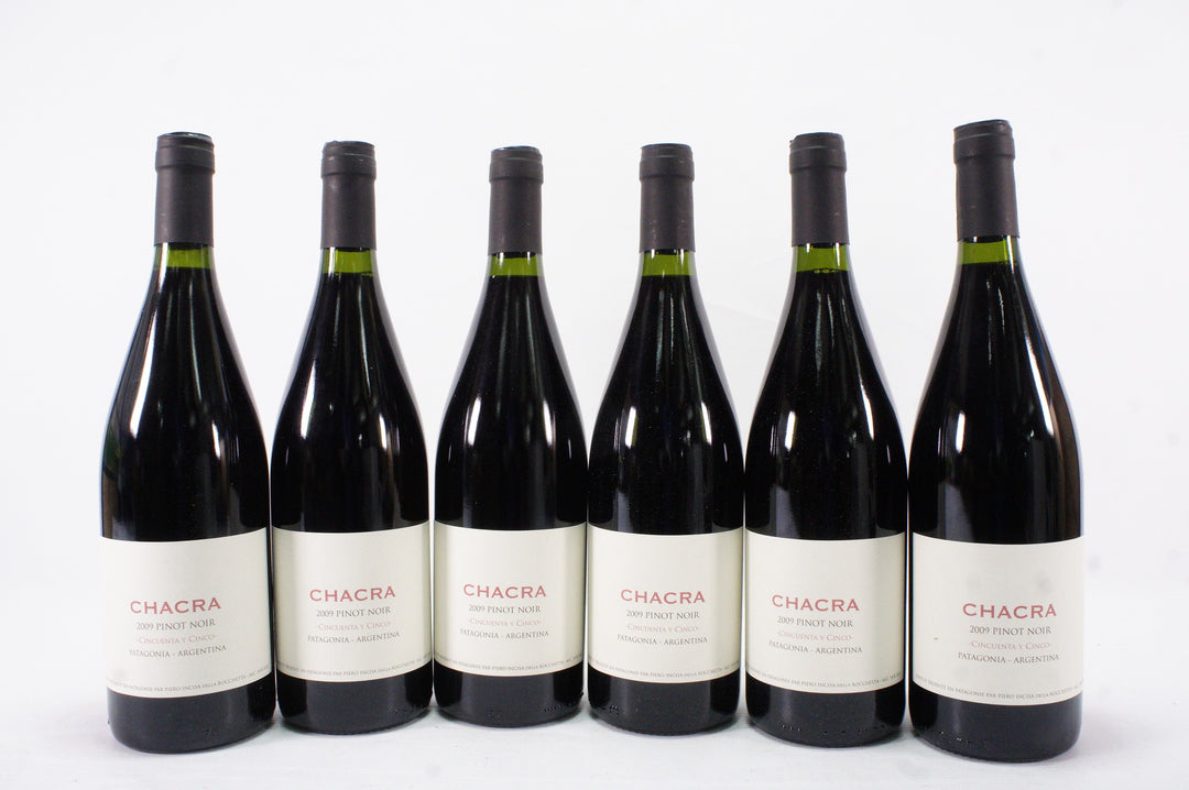 Bodega Chacra 'Cincuenta y Cinco 55' Pinot Noir 2009