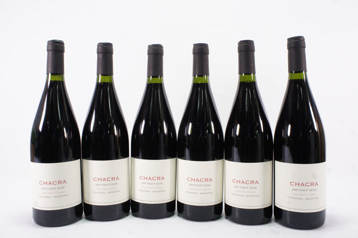 Bodega Chacra 'Cincuenta y Cinco 55' Pinot Noir 2009