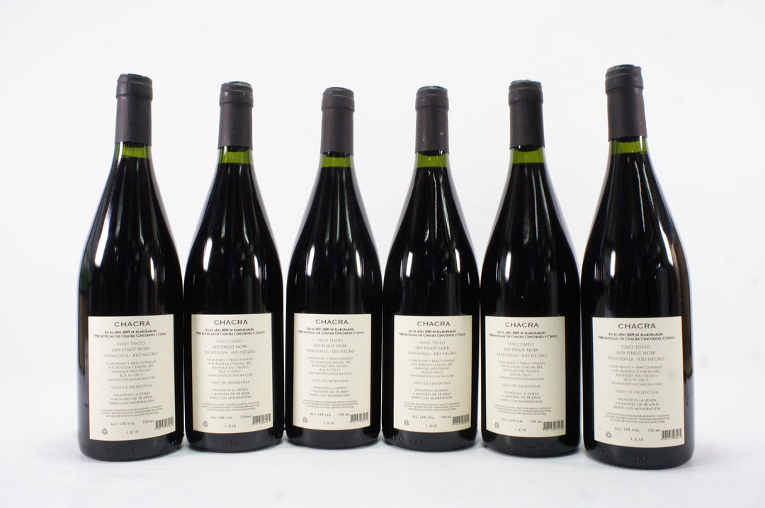 Bodega Chacra 'Cincuenta y Cinco 55' Pinot Noir 2009