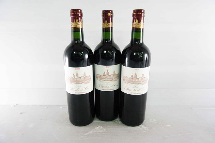 Chateau Cos d'Estournel Les Pagodes de Cos 2009